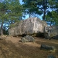 Fontainebleau13.jpg