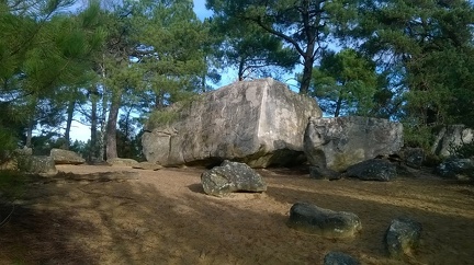 Fontainebleau 13